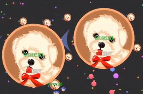 球球大作戰(zhàn)全球歷史最高體重視頻 超級霸屏行動