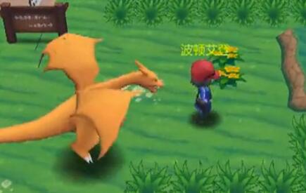 口袋妖怪重制野外抓怪攻略視頻 教你如何抓怪