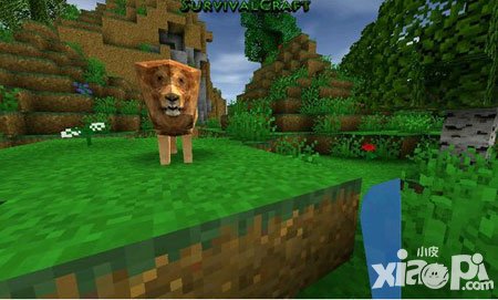 生存戰(zhàn)爭(zhēng)手機(jī)版怎么聯(lián)機(jī) 聯(lián)機(jī)方法是什么