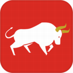 外匯操盤(pán)手