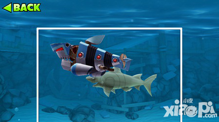 饑餓的鯊魚(yú)進(jìn)化小鯊魚(yú)有什么用?怎么獲得小鯊魚(yú)?