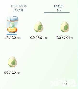 精靈寶可夢(mèng)GO精靈蛋怎么孵化 精靈蛋孵化方法是什么