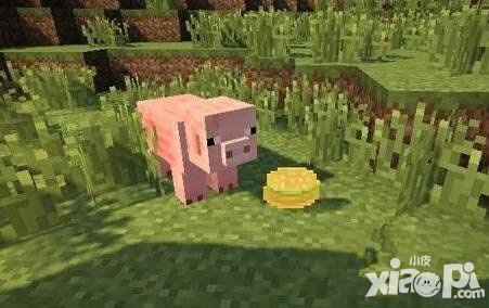 我的世界常見食物獲得方式解析