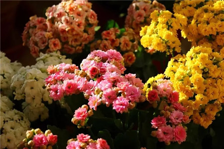 控水多施磷鉀肥