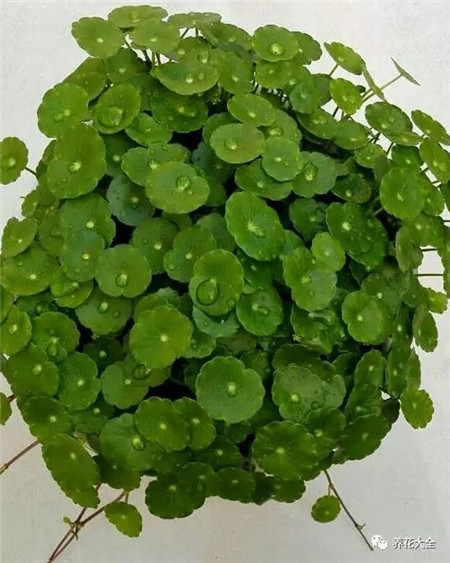 擺放位置 擺放位置