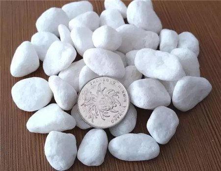 石子：水培小心機(jī)