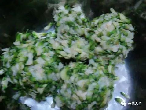 水分攥出來(lái)