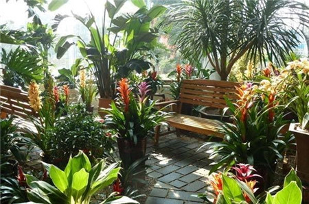 魚(yú)缸換出的水