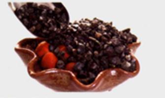 鋪麥飯石-發(fā)財(cái)樹(shù)種植