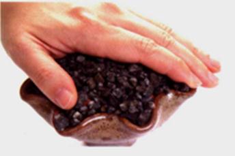 發(fā)財(cái)樹(shù)種植-輕壓泥土