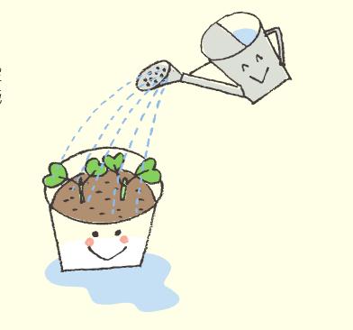 什么時(shí)候澆水