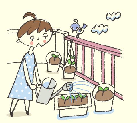 不同季節(jié)的澆水時(shí)間冬季