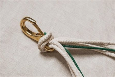 落花之舞懸掛式盆景制作