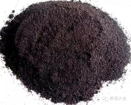 給花盆換土，并給之前使用過的花盆消毒，清除雜草