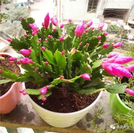 溫度太低或溫差太大。