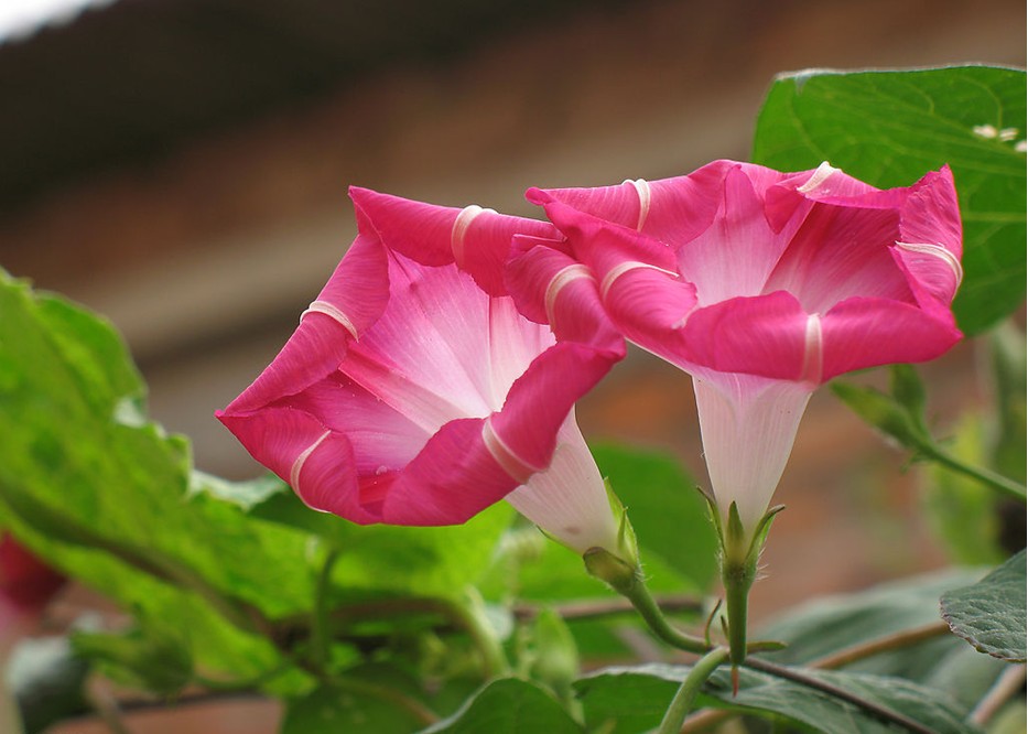 牽?；▓D片大全