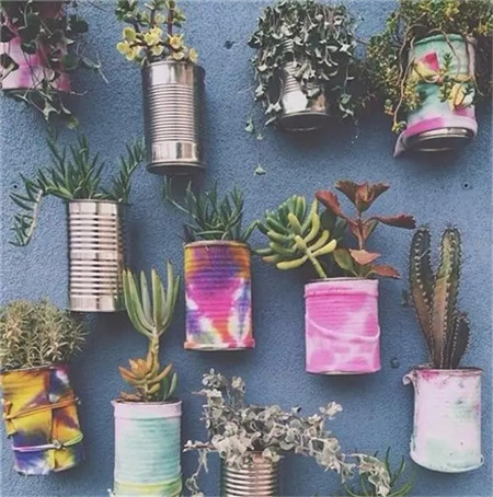 讓你的墻壁爬滿(mǎn)罐頭盆栽