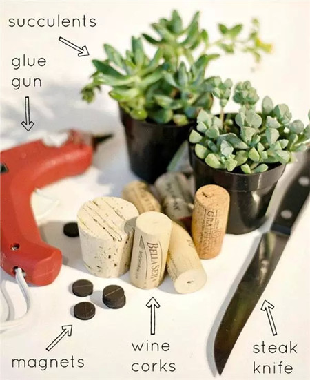 軟木塞花盆制作教程