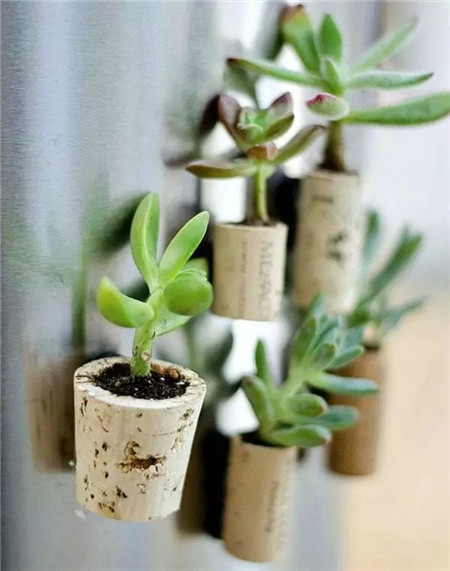 軟木塞花盆制作是不是很簡(jiǎn)單呢