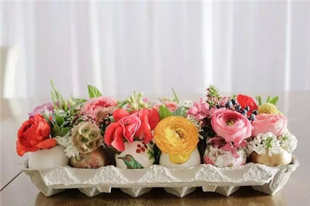 還帶個(gè)底座的蛋殼花盆