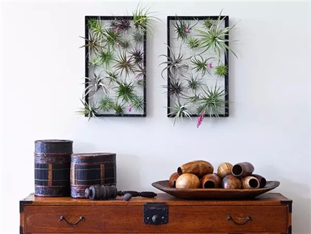 美麗別致的花盆