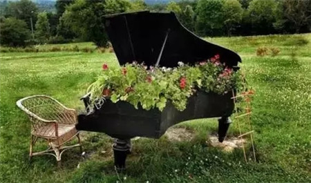 無(wú)心放置的花園