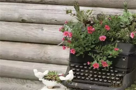 打字機(jī)的園地