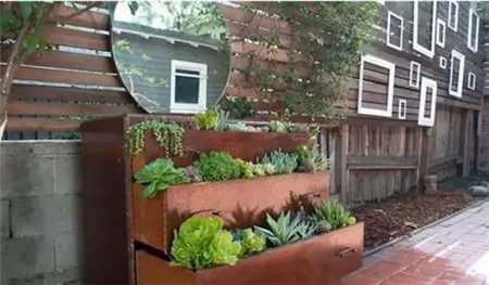 隨心所欲的花園