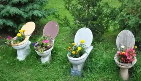 這是一盆有味道的花