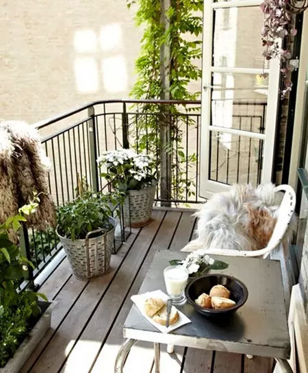 陽臺的無限創(chuàng)造