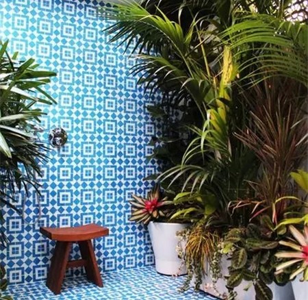 養(yǎng)花創(chuàng)意