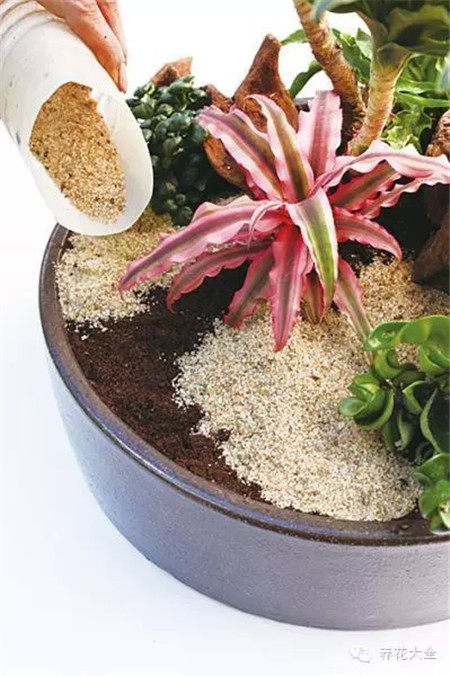 鋪上細(xì)沙石