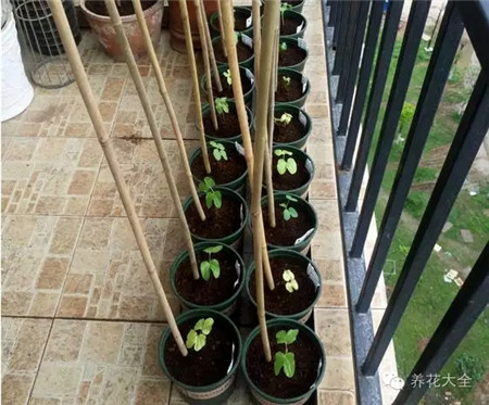 牽?；ㄅ捞? border=