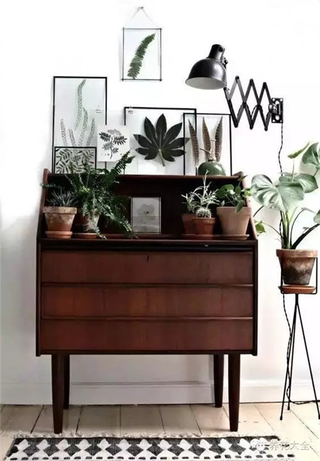 葉子也可以這么美！