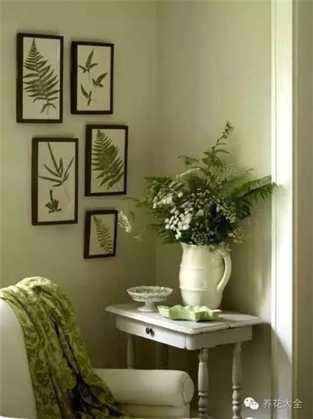 客廳一角，淡雅的畫面