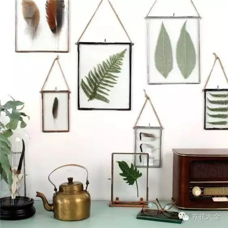 葉子也可以這么美