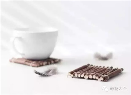 樹枝茶杯墊