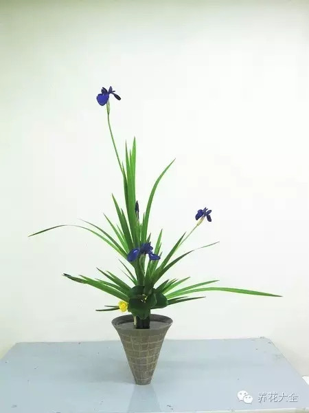 師法自然，天人合一