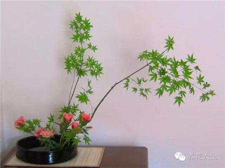 講究詩情畫意，注重意境美的創(chuàng)設