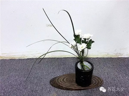 采用不對稱式自然構圖形式