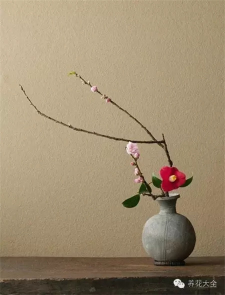 線條造型，追求花材個體的線條美，多用木本花材