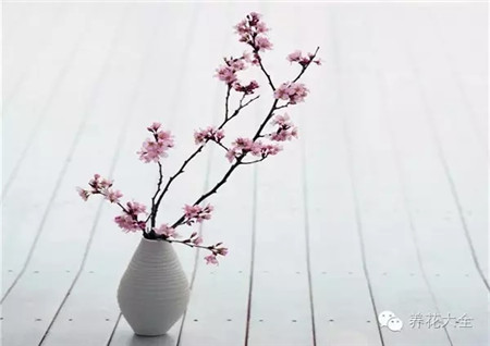 季節(jié)特色的表現