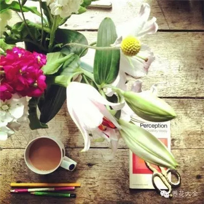 怎么給花草保鮮