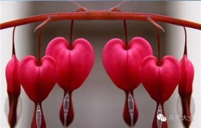 《失戀陣線聯(lián)盟》