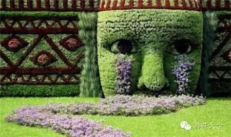 姑娘為何如此傷心