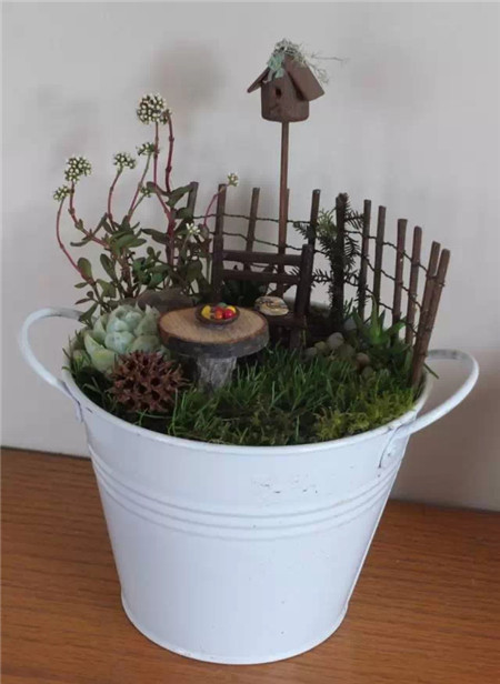 建造一個(gè)屬于自己的童話花園