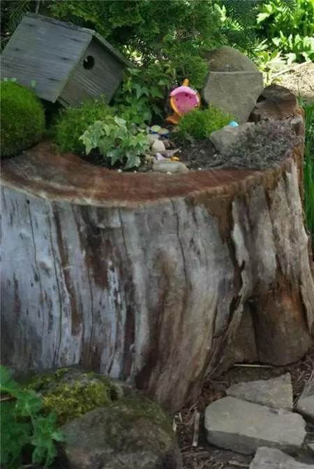 建造一個(gè)屬于自己的童話花園