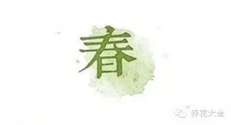 二十四節(jié)氣花草圖