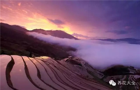 中國(guó)辣么美，外果仁都來(lái)了不想走