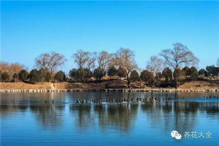 中國(guó)辣么美，外果仁都來(lái)了不想走